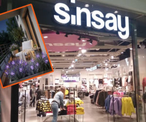 Te solarne kwiaty z Sinsay kosztują jedynie 19,99, a wyglądają, jak żywe! Stworzą niepowtarzalny klimat w ogrodzie i na balkonie