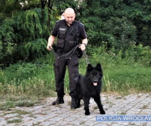 Policyjny Nos miał nosa! Pies uratował starszego człowieka