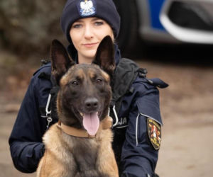Koszalińska policja ma nowego funkcjonariusza na czterech łapach