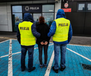 Zwyrodnialec wyrzucił psa z 8. piętra, bo zwierzę wskoczyło na stół