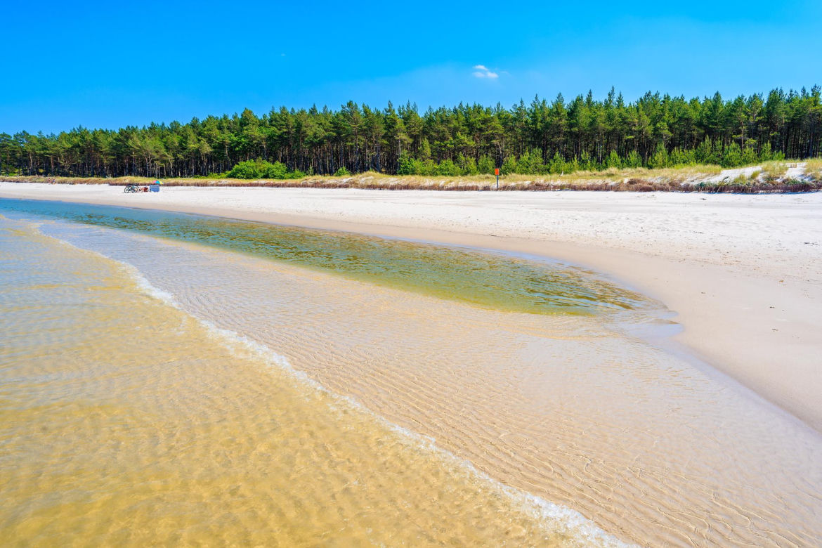 Nieodpowiednie pilnowanie psa na plaży (bez smyczy, kagańca lub w miejscu, gdzie obowiązuje zakaz wprowadzania zwierząt) – mandat od 50 do 500 zł.