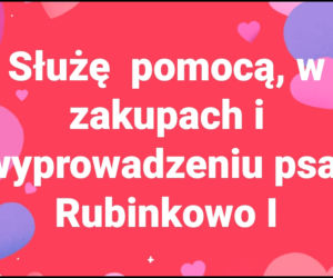 Widzialna Ręka w Toruniu niesie pomoc!