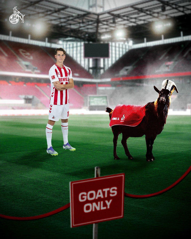 MEMY po meczu Polska Malta