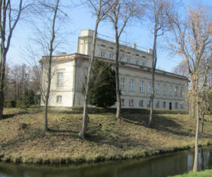 Pałac i platan we Włoszakowicach