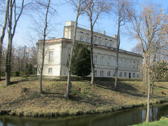 Pałac i platan we Włoszakowicach