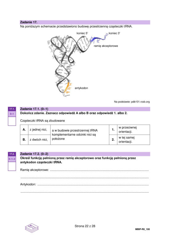 Matura 2024: biologia. Arkusze CKE i odpowiedzi. Poziom rozszerzony [Formuła 2023]