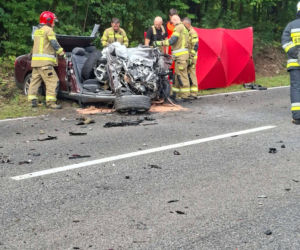 Śmiertelny wypadek w Stykowie na DK 42. Na miejscu zginął 23 letni mężczyzna