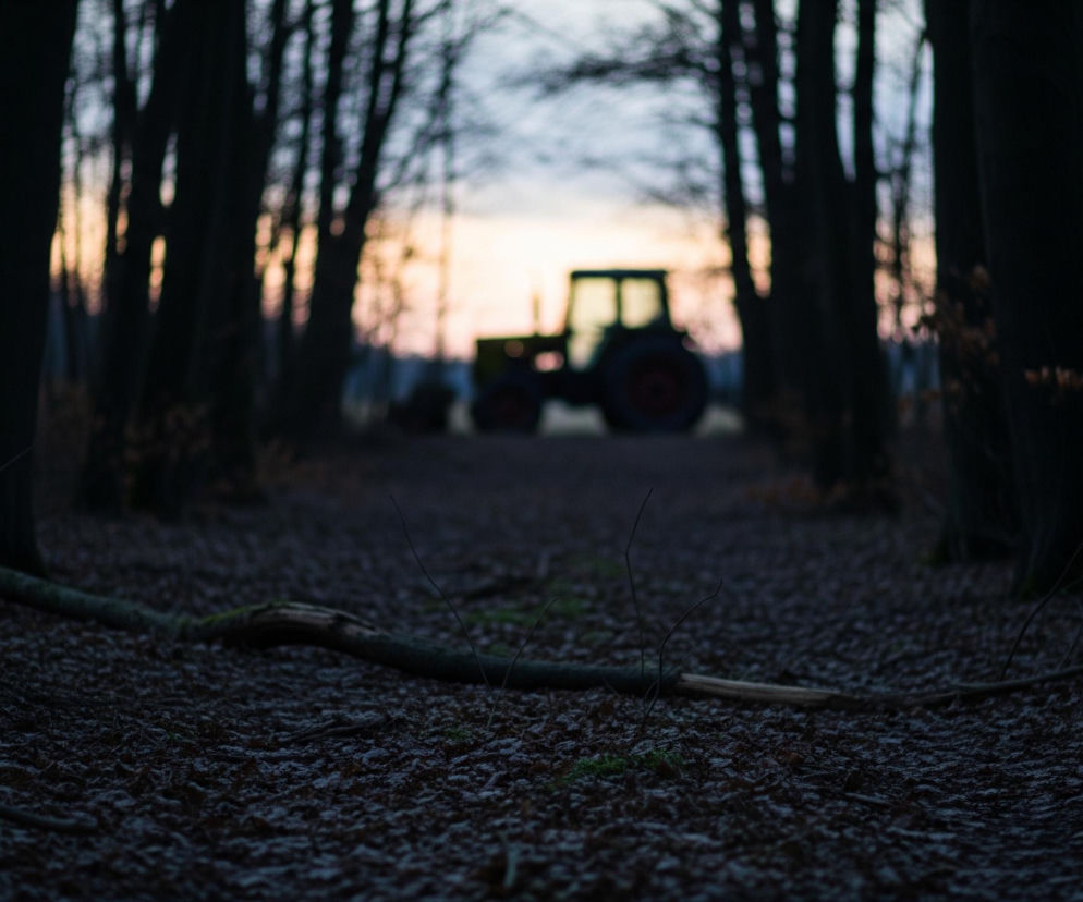 Leśna droga o zmierzchu prowadzi w głąb obrazu, gdzie na jej końcu widać niewyraźny zarys ciągnika rolniczego. Drzewa o ciemnych, pionowych pniach, bez widocznych liści, otaczają drogę po obu stronach, tworząc naturalny tunel. Pomiędzy pniami prześwituje jasne, rozmyte światło zachodzącego słońca w odcieniach pomarańczowego i bladoniebieskiego. Dno lasu pokryte jest ciemnymi liśćmi i suchymi gałęziami, leżącymi na ziemi.