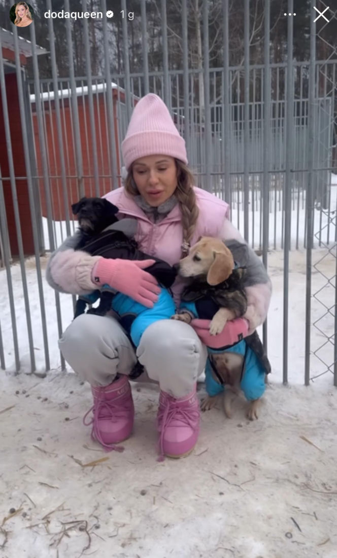 Doda ratuje psy przed mrozem