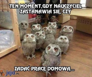 Dzień Nauczyciela 2021. Zobacz najlepsze MEMY!