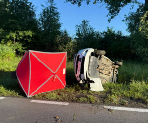 Tragiczny wypadek pod Zieloną Górą. Fiat Punto wjechał w dzika, nie żyje 54-letni mężczyzna