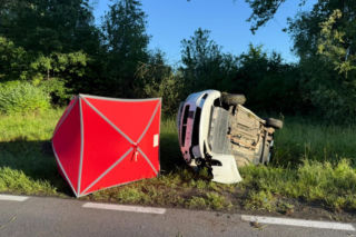 Tragiczny wypadek pod Zieloną Górą. Fiat Punto wjechał w dzika, nie żyje 54-letni mężczyzna