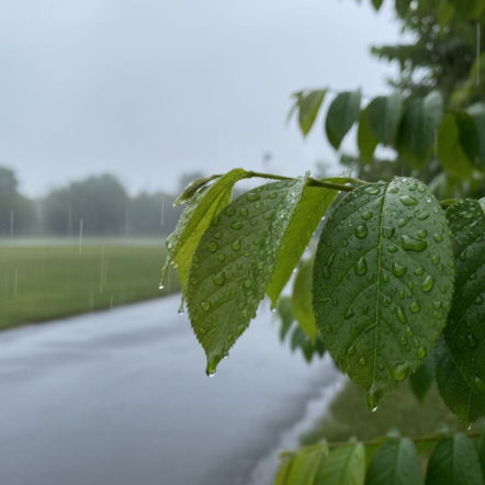 Weekend w Lublinie zacznie się chłodno. Zrobi się cieplej, ale niedziela będzie deszczowa