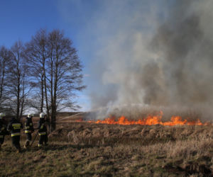 Pożar w Biebrzańskim Parku Narodowym