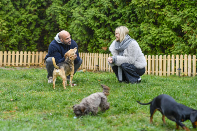 Akop Szostak, Michalina Zagórska i psy