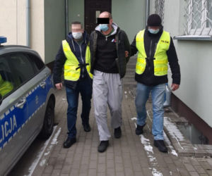 Marihuana zamiast pieczarek! Potężna plantacja w Lubelskiem