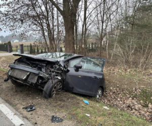 Do niebezpiecznego wypadku doszło dziś (w czwartek, 18 grudnia) po godz. 13.00 w miejscowości Pieńki na drodze wojewódzkiej nr 698. Zderzyły się tam dwa samochody osobowe.