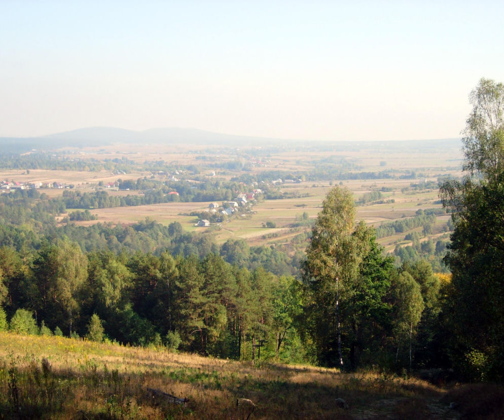 Panorama Doliny Wilkowskiej z widokiem na wieś Wilków. O historii tego regionu przeczytasz w serwisie Eska Starachowice.