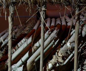 Długie korytarze, sale operacyjne i butelki z krwią. To tajemnicze miejsce już niebawem będzie udostępnione do zwiedzania! [AUDIO, ZDJĘCIA]
