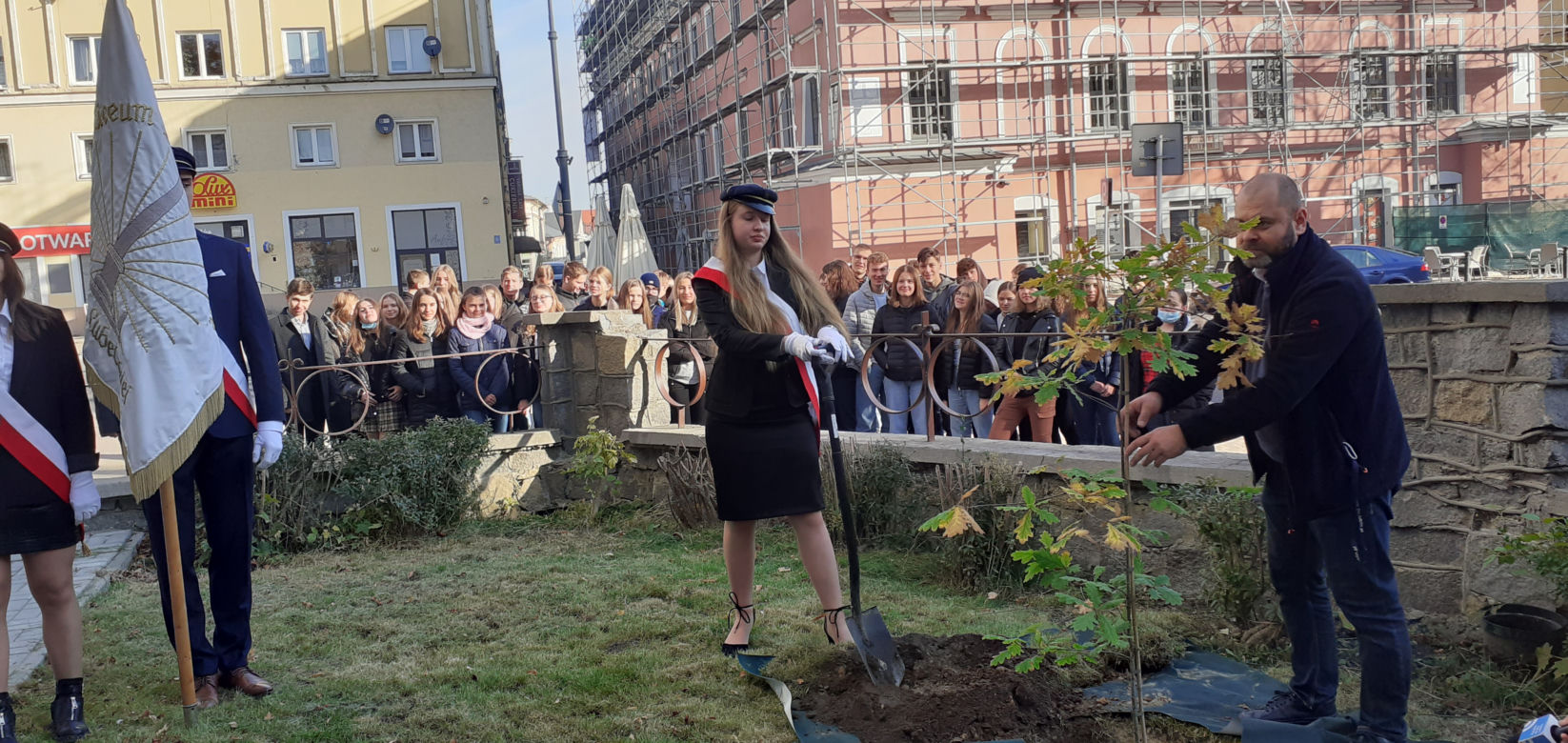 Zostawili listy potomnym i zasadzili drzewo. Święto Drzewa w Lublinie [GALERIA]