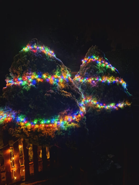 Bożonarodzeniowe iluminacje świetlne