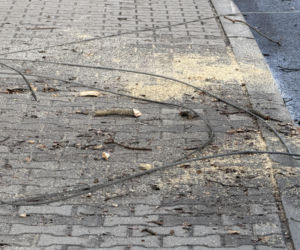 Powalone drzewa i awarie prądu w części województwa