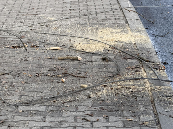 Powalone drzewa i awarie prądu w części województwa