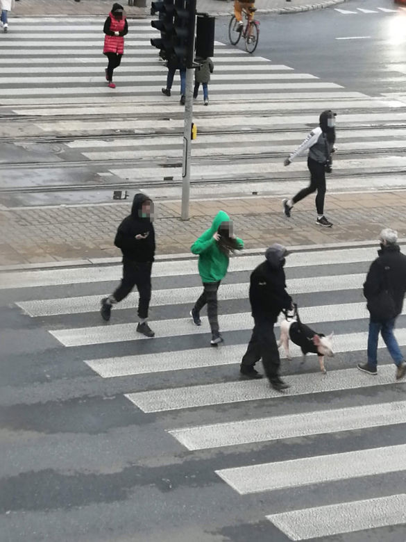 Złodziej osatni raz widziany był w okolicy kina Femina