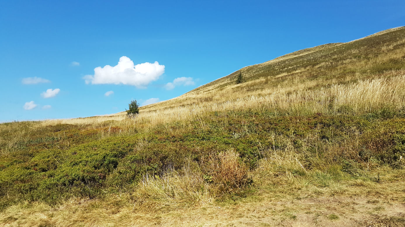 BIESZCZADY: Spory ruch na szlakach. Polacy chętnie wybierają na wypocznek podkarpackie góry [WIDEO, FOTO]	