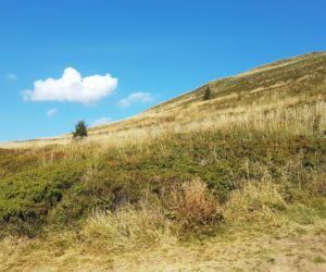 BIESZCZADY: Spory ruch na szlakach. Polacy chętnie wybierają na wypocznek podkarpackie góry [WIDEO, FOTO]	