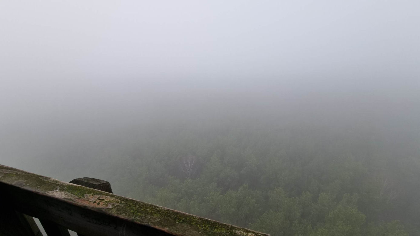 Wieża obecnie prezentuje się tak - taki jest z niej widok w mglisty dzień!