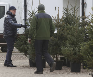 Kurski szykuje się na święta