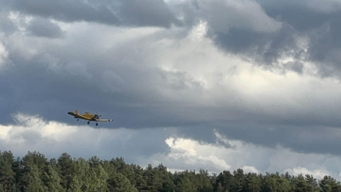 12. Rodzinny Piknik Lotniczy w Gryźlinach