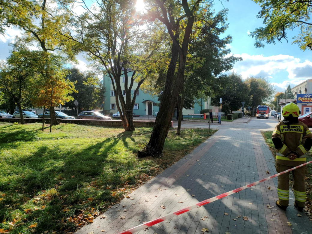Jakub miał dziś urodziny. Chwycił nóż i zaczął atakować. "Był cichy, nie rzucał się w  oczy"