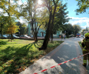 Jakub miał dziś urodziny. Chwycił nóż i zaczął atakować. Był cichy, nie rzucał się w  oczy