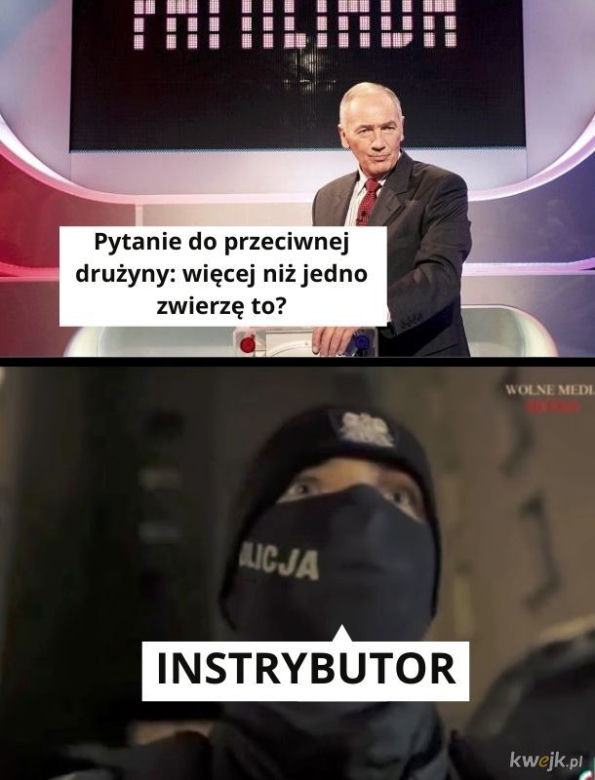 Instrybutor podbija internet