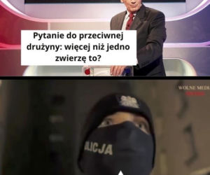 Instrybutor podbija internet