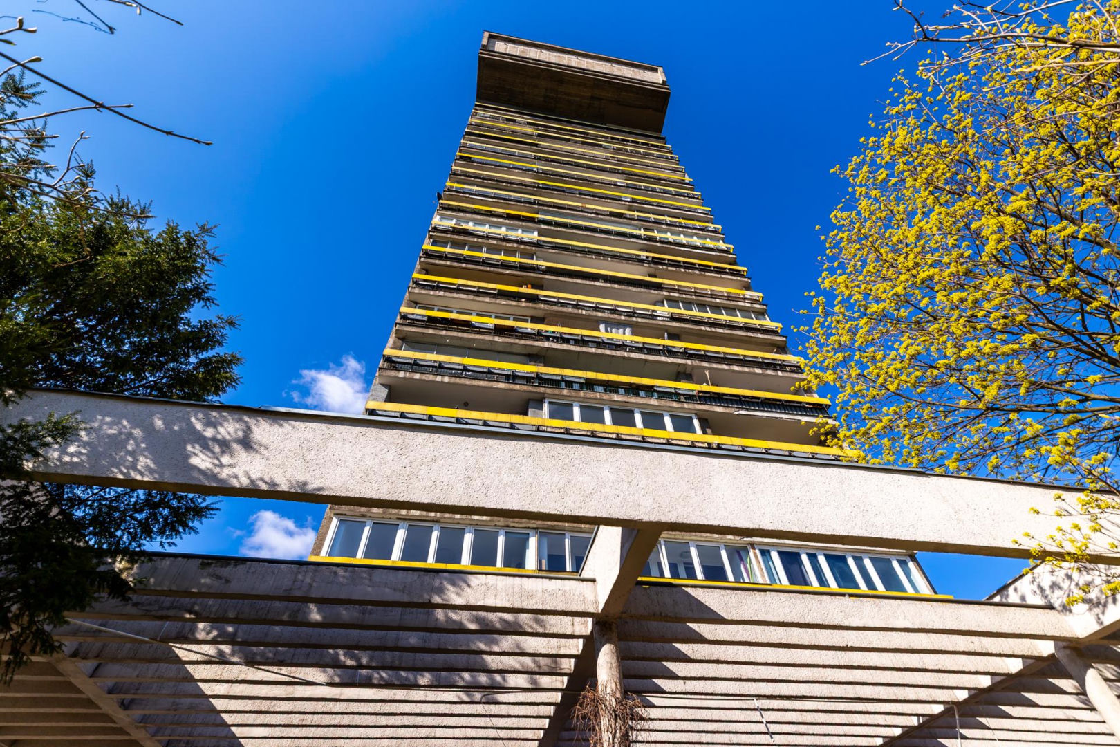 Blok Młotek na Smolnej 8 w Warszawie