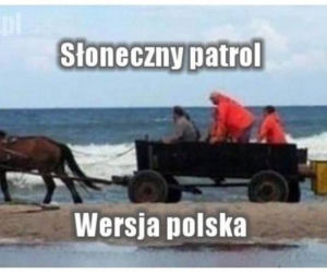  Polacy na wakacjach dają czadu! Zobacz NAJLEPSZE MEMY: Janusz i Grażyna w formie