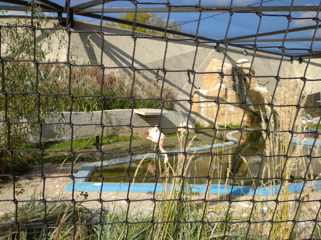 Ogród zoologiczny im. Stefana Milera w Zamościu
