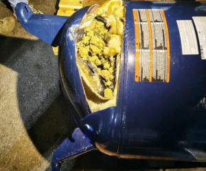 Drops wyniuchał 82 kg marihuany. Wielki przemyt na Lotnisku Chopina