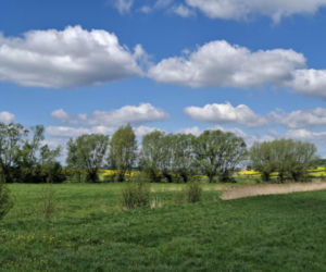 Mirogonowice. Świętokrzyskie