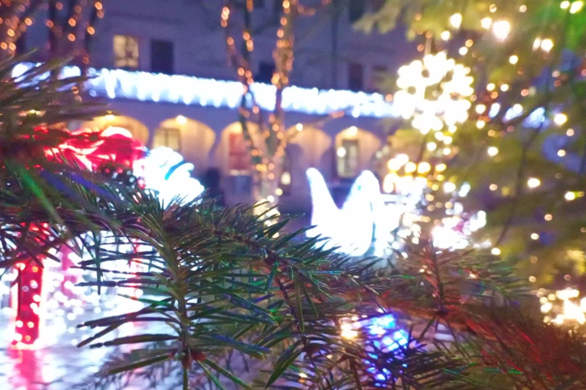 Świąteczne iluminacje na Zamku Książąt Pomorskich w Szczecinie