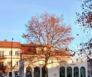 Chmielnik. Woj. świętokrzyskie