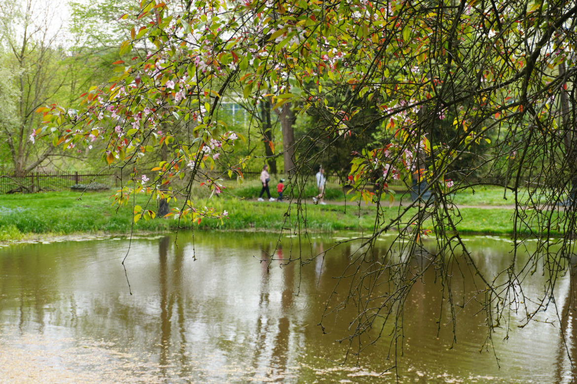 Ogród Botaniczny w Lublinie