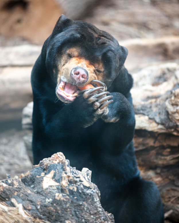 Orientarium Łódź ZOO