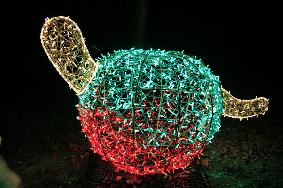Park iluminacji „Tajemniczy Ogród” w Lublinie