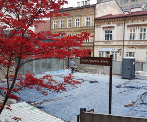 Wznowiono prace przed półbaszcie