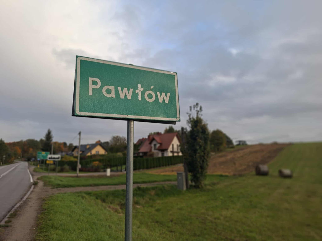 Tragiczny wypadek w Pawłowie. Byk zaatakował kobietę