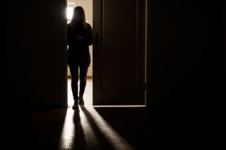 Inwazyjne jelenie sika w Lewinie Brzeskim. Co czeka zwierzęta przed świętami?